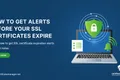Let’s Encrypt Stopt Met Vervaldatum E-mails: Wat Nu? | Certificate Manager